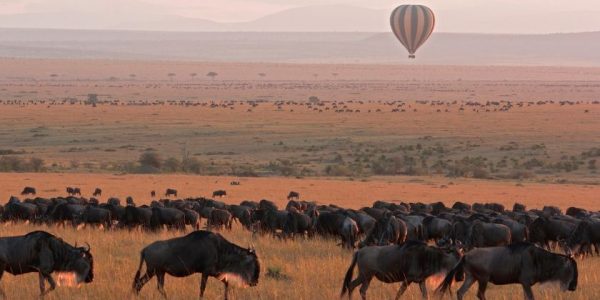 Pourquoi faire un safari au Kenya avec Hors Pistes ?