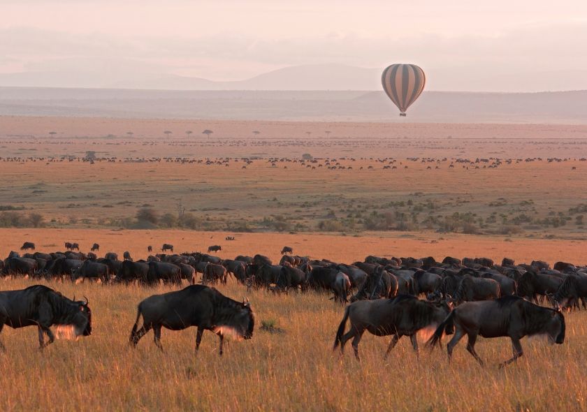 Pourquoi faire un safari au Kenya avec Hors Pistes ?