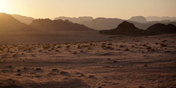Riwaya Travel : découvrir l’Algérie autrement grâce au tourisme durable et immersif